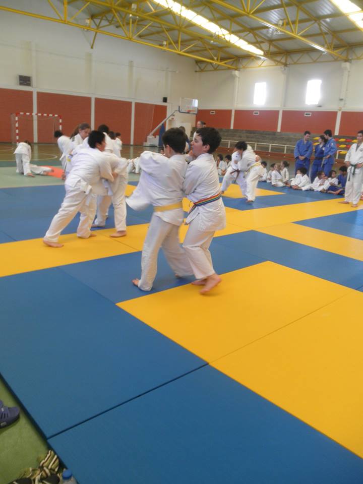 3judo8