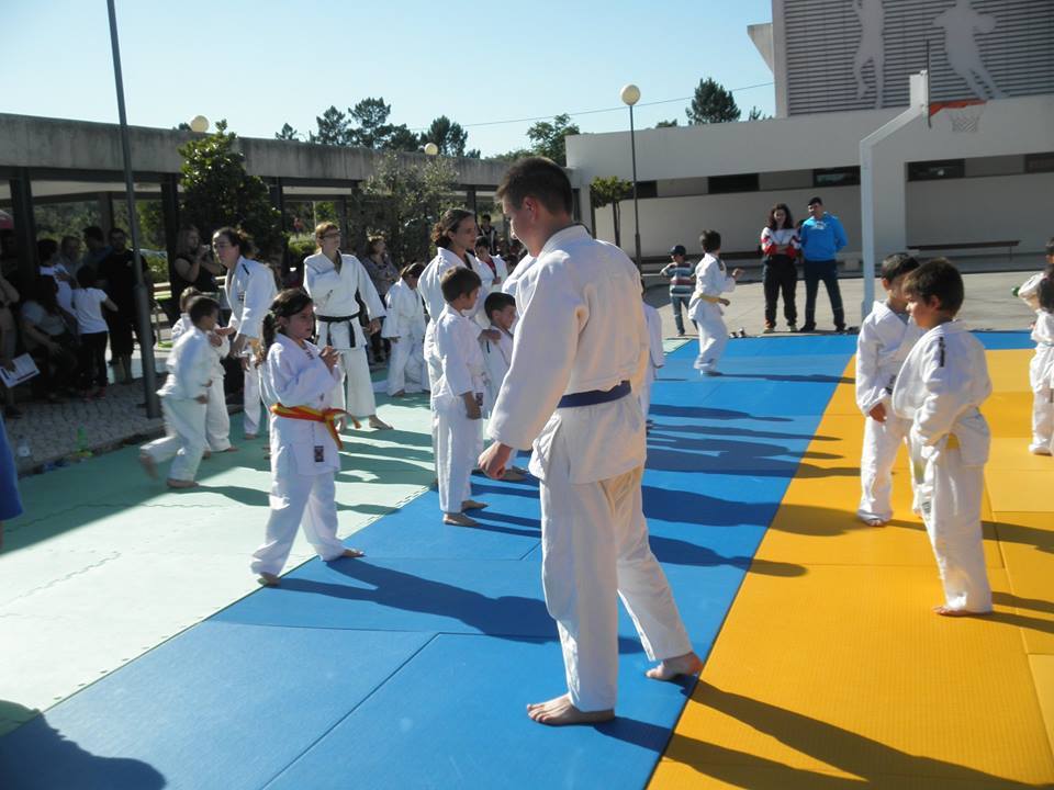 judo3