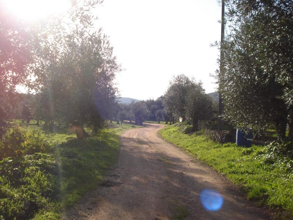 csnavecasta1
