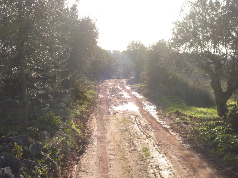 csnavecasta10