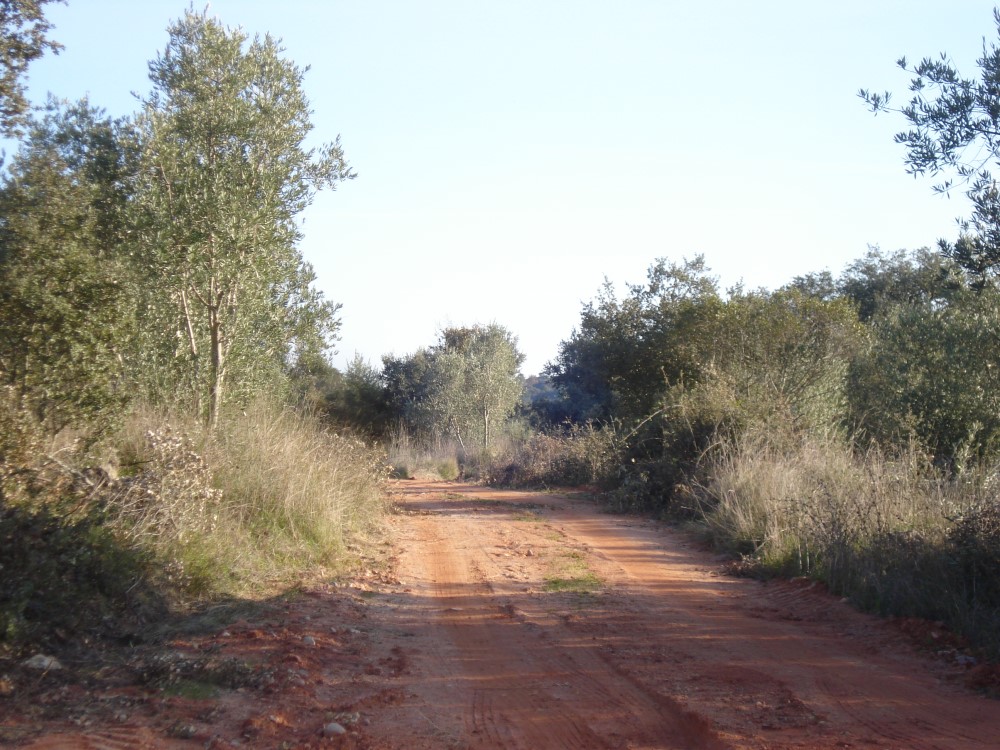 csnavecasta12