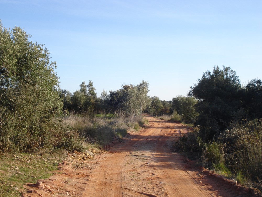 csnavecasta13