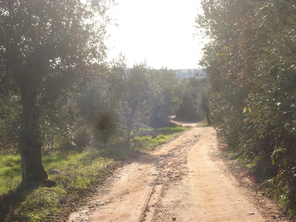 csnavecasta2