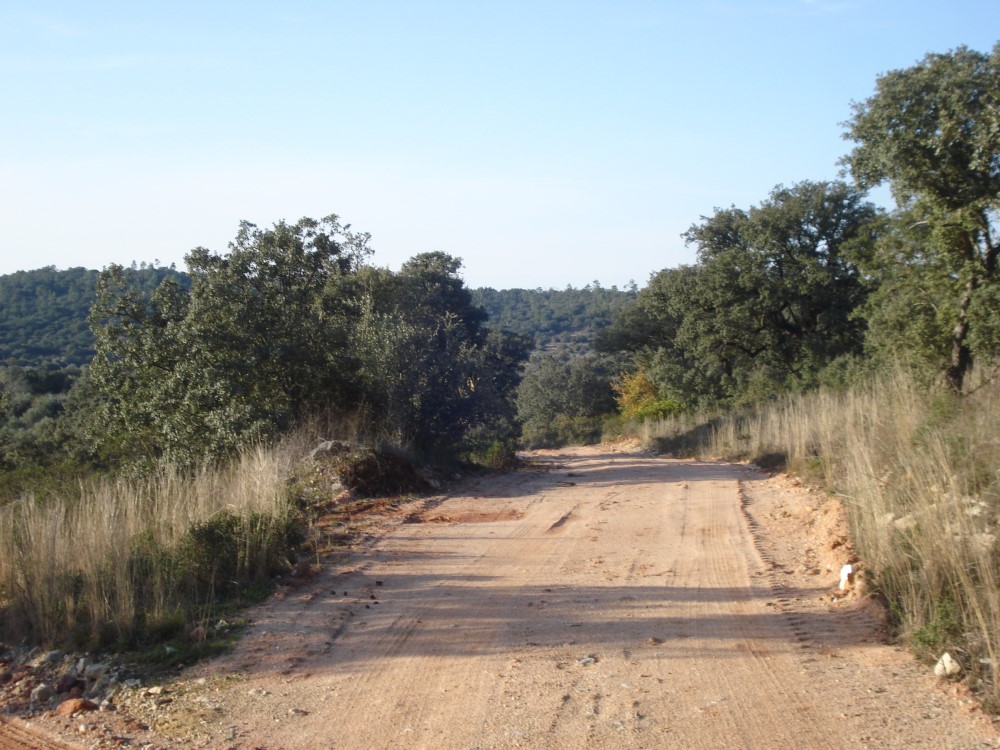 csnavecasta21