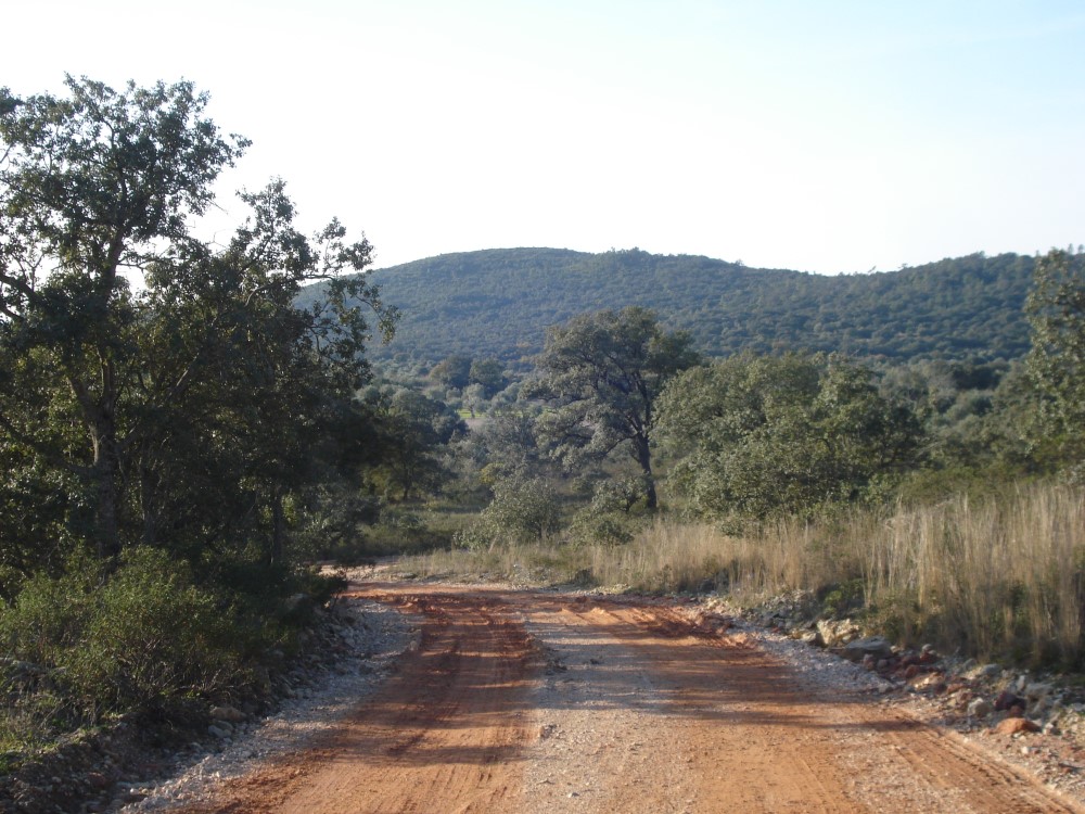csnavecasta22