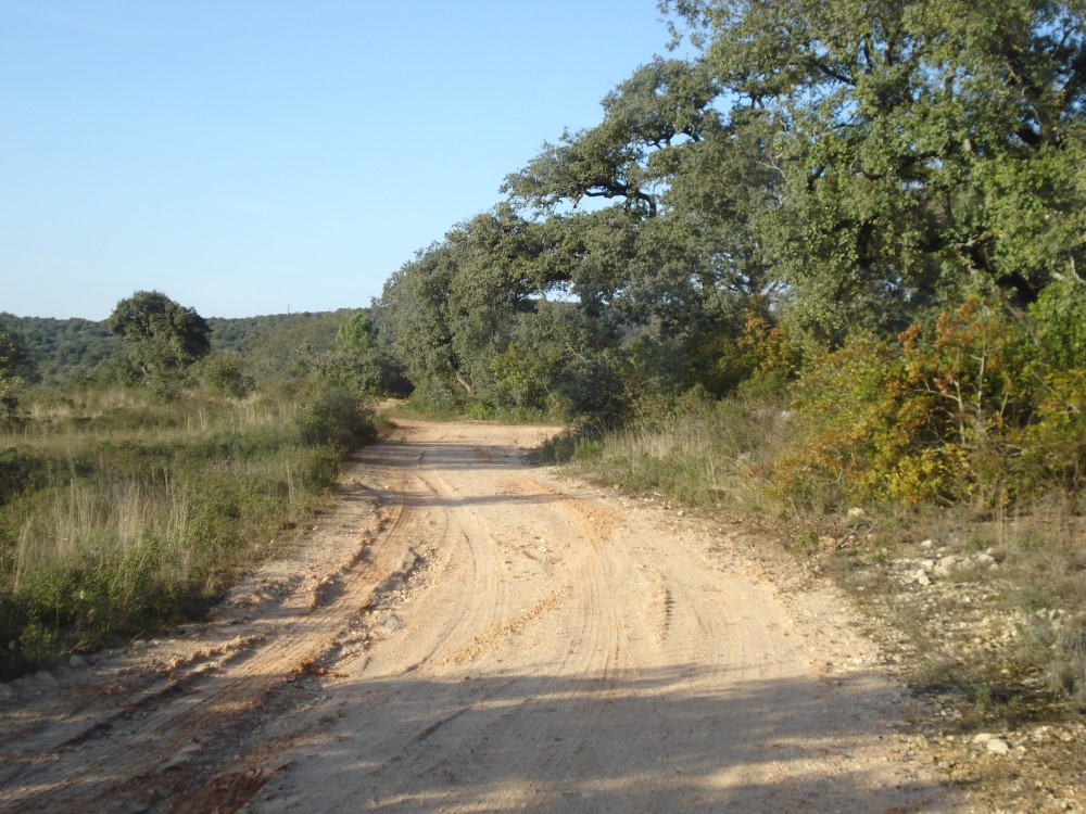 csnavecasta23