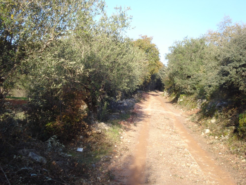csnavecasta27