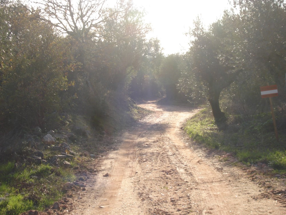 csnavecasta3
