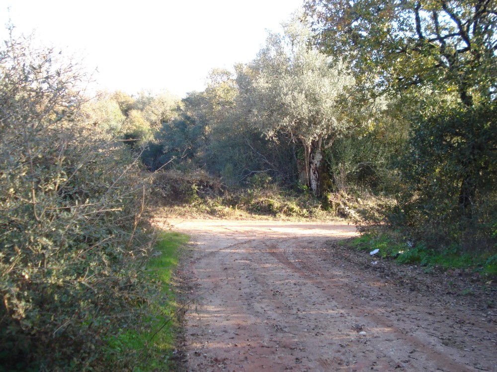 csnavecasta5
