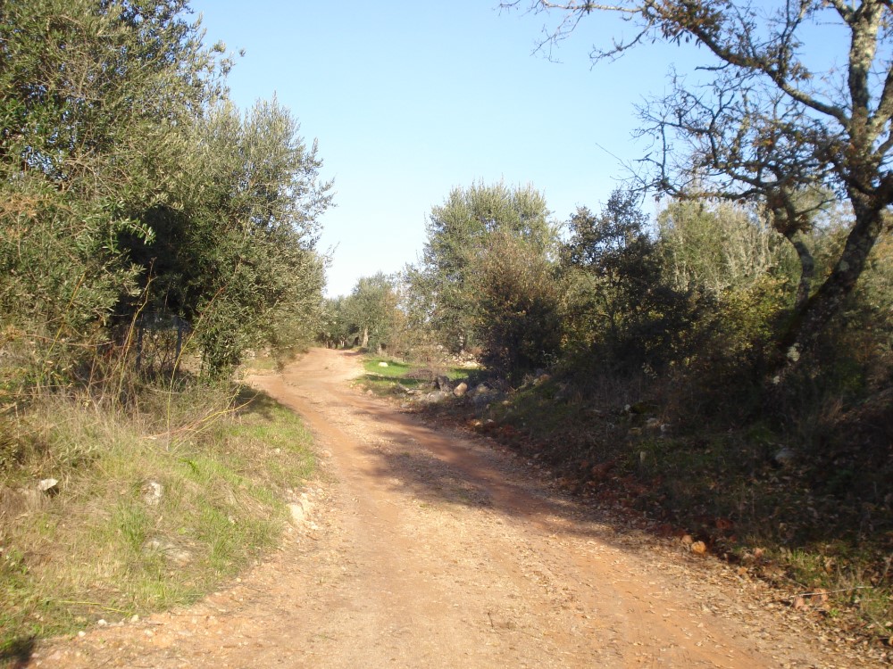 csnavecasta6