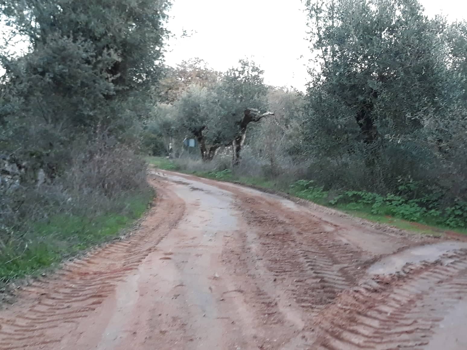 csnavecasta64