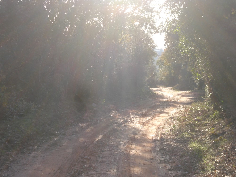 csnavecasta7