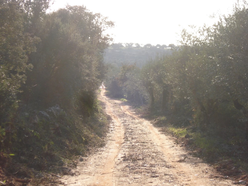 csnavecasta8