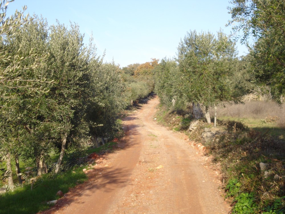 csnavecasta9