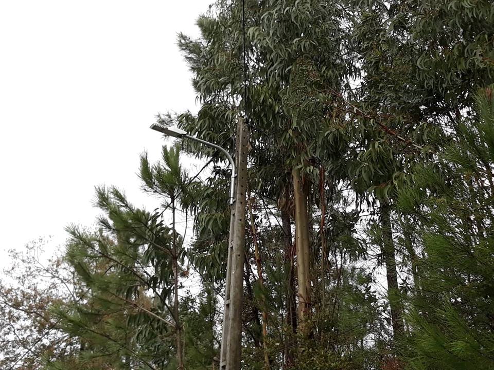 energiacmt 2