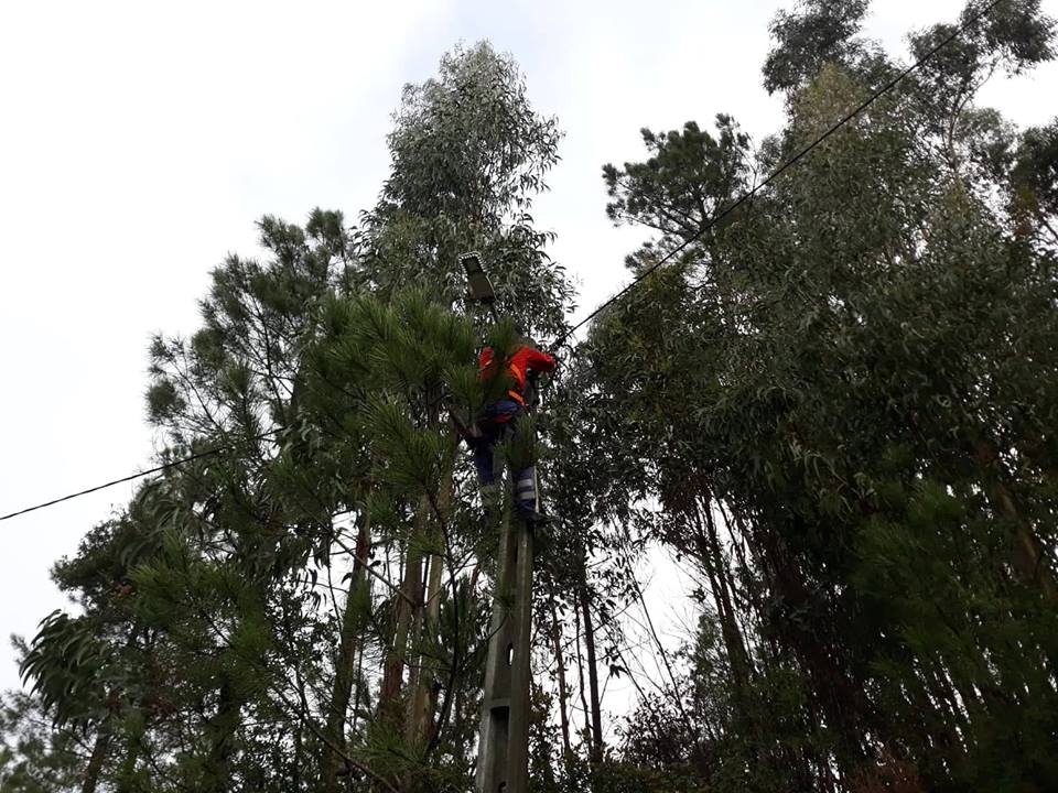 energiacmt 4