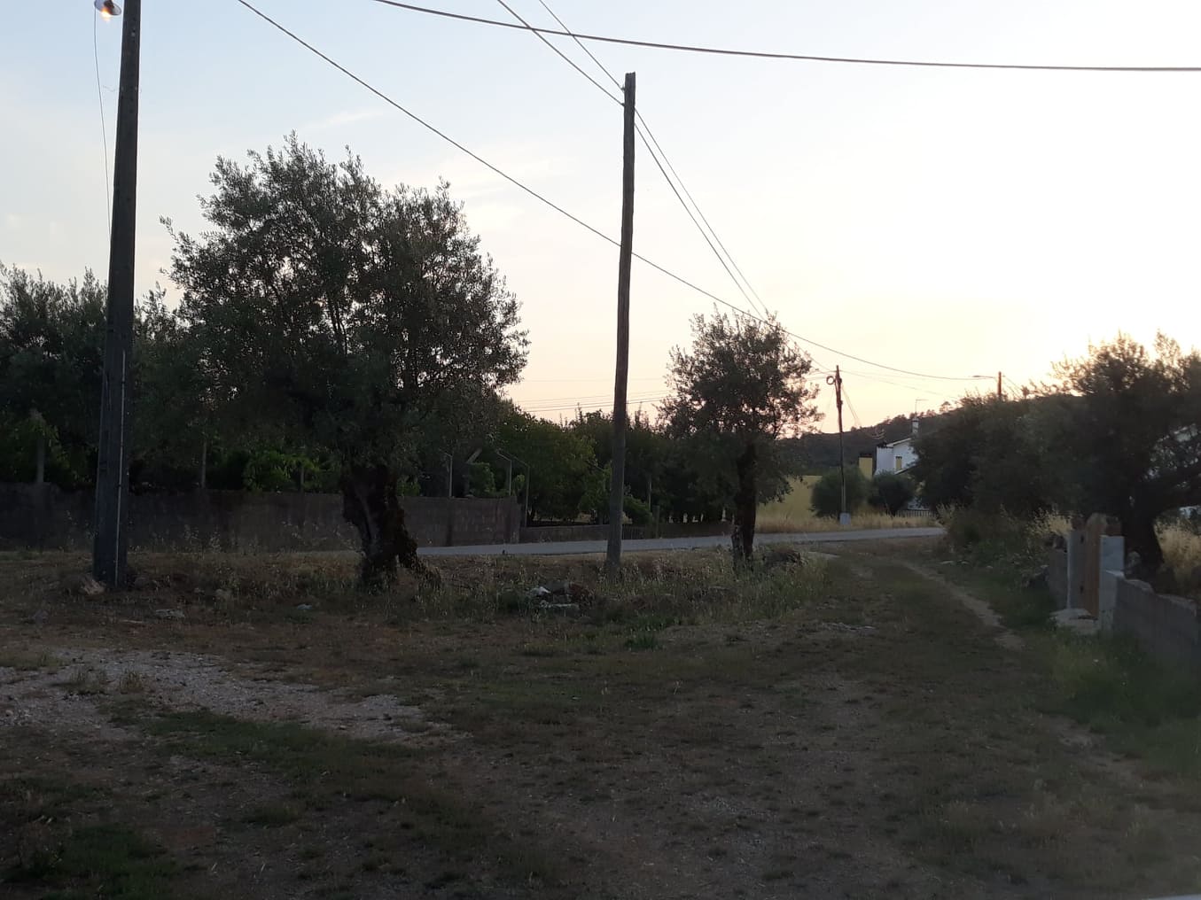 estradaantiga avecasta 1