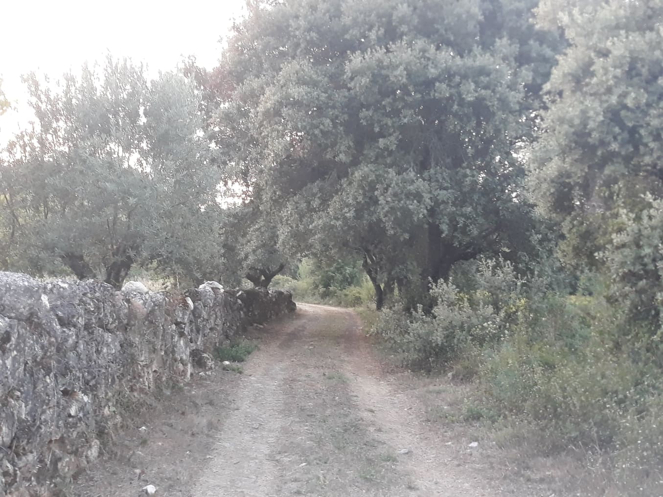 estradaantiga avecasta 2