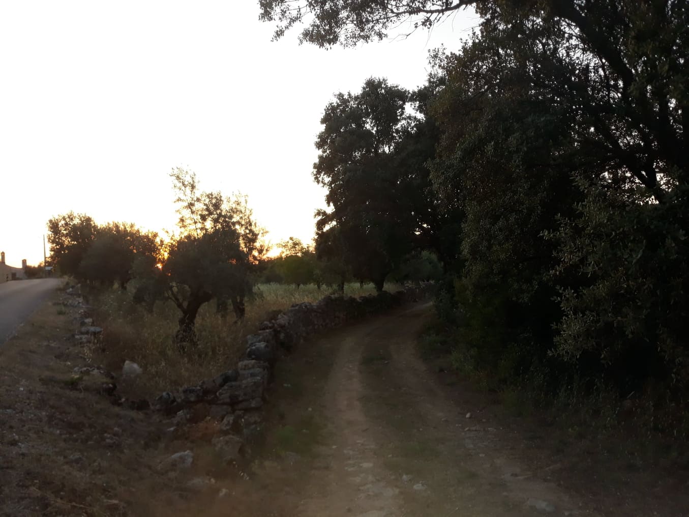 estradaantiga avecasta 4