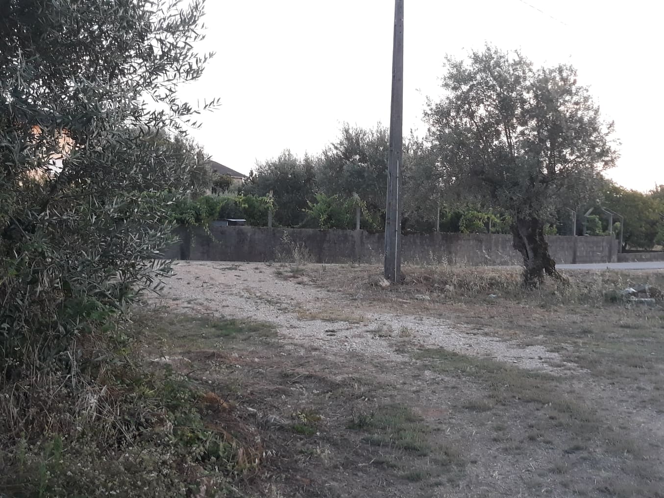 estradaantiga avecasta 5