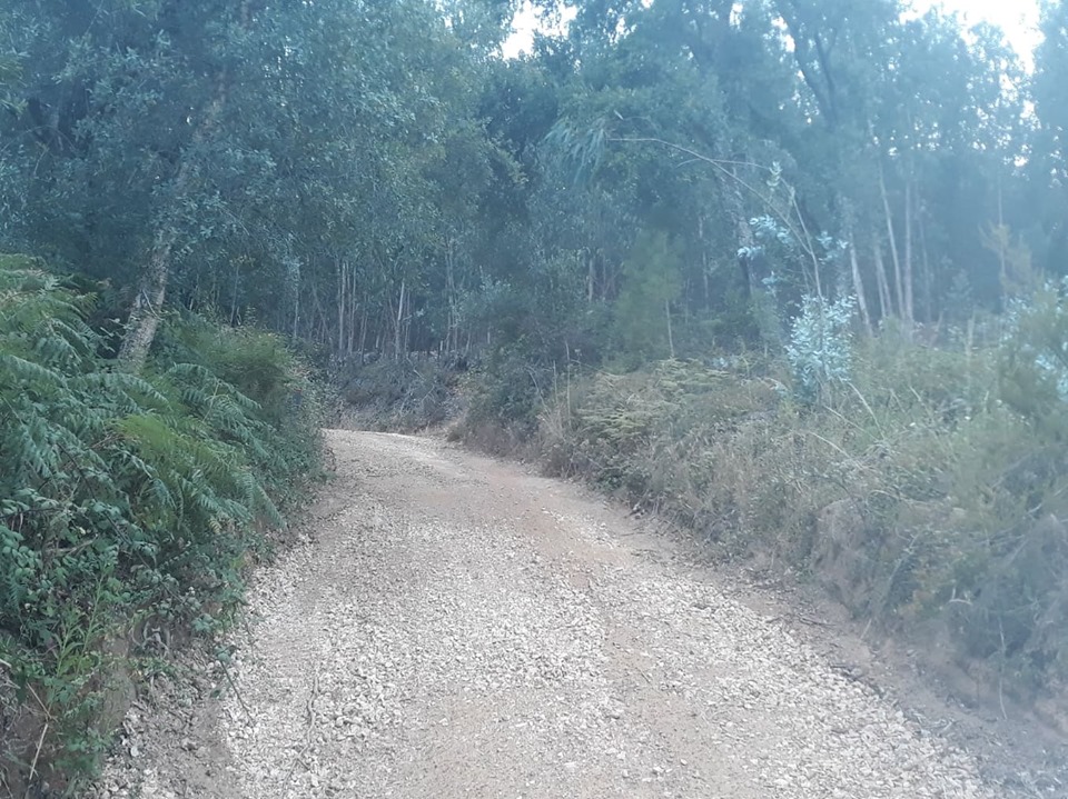 ruadoribeiro agagos 1