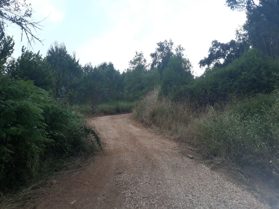 ruadoribeiro agagos 2