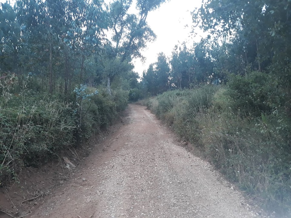 ruadoribeiro agagos 5