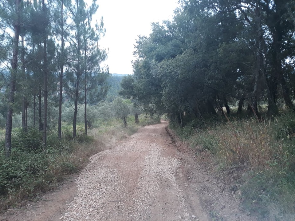 ruadoribeiro agagos 7