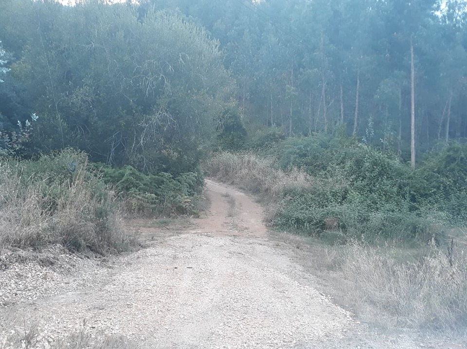 ruadoribeiro agagos 9