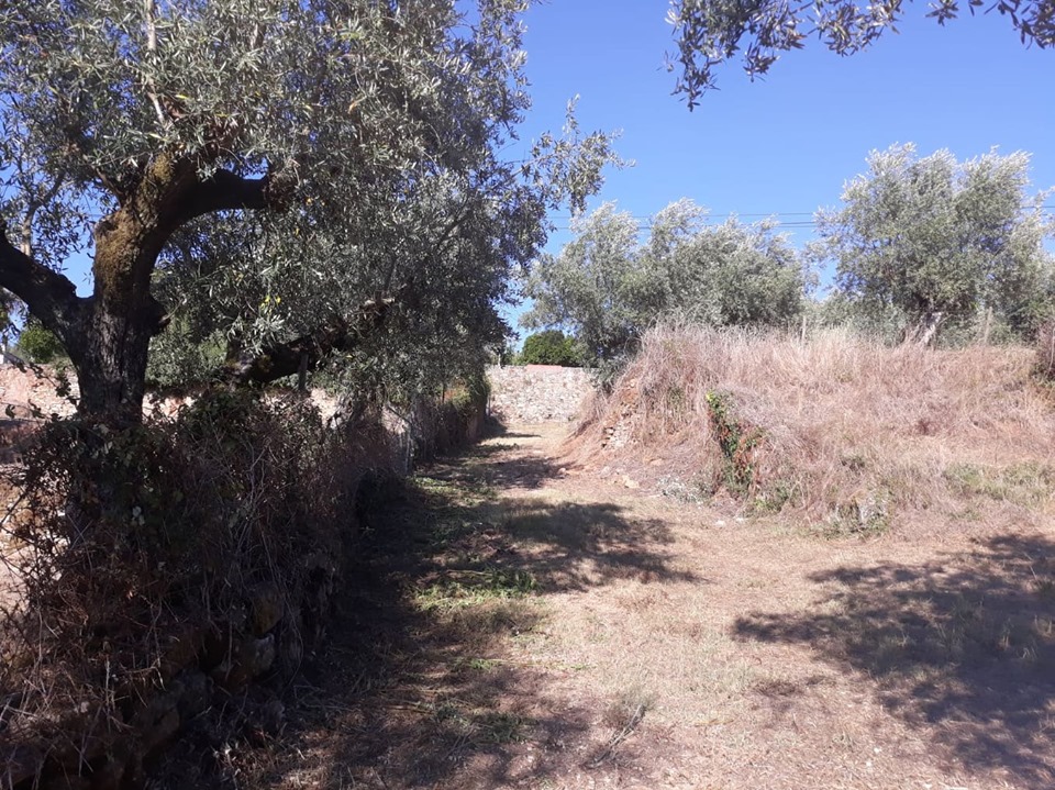 cnclass pelourinho 1