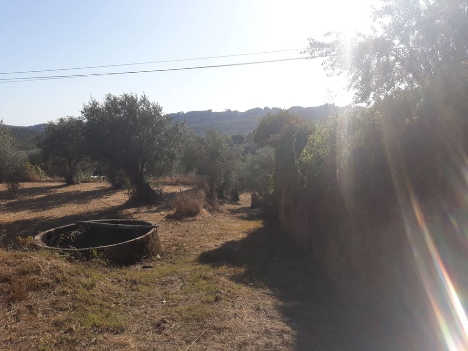 cnclass pelourinho 11