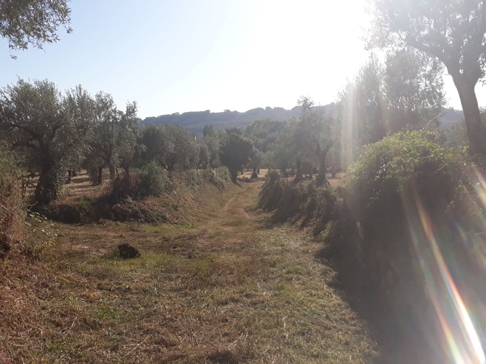 cnclass pelourinho 14