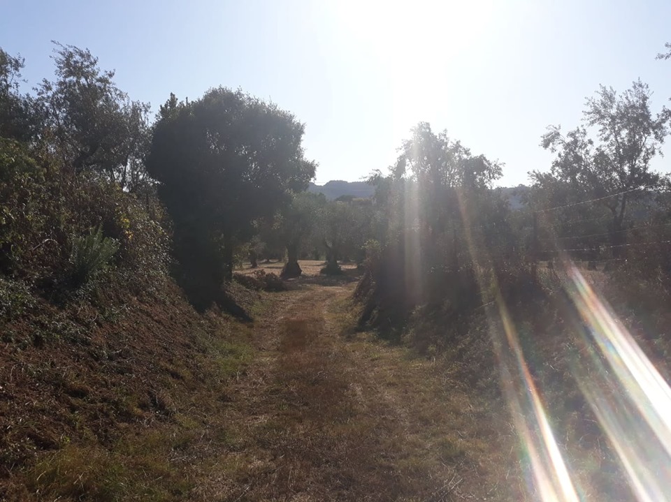 cnclass pelourinho 15