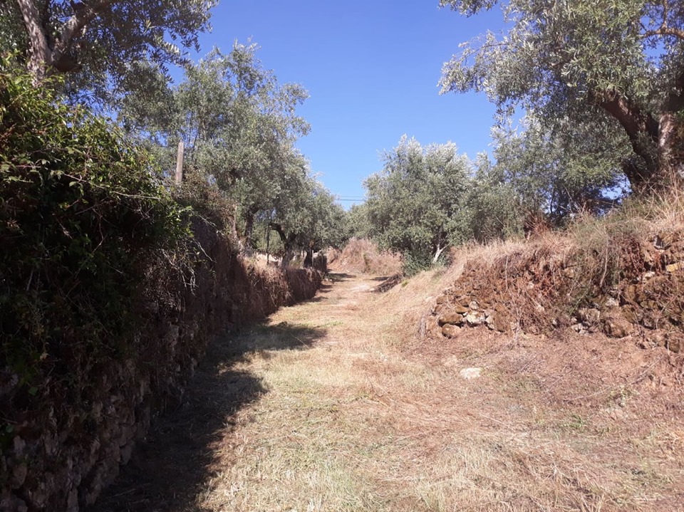 cnclass pelourinho 2