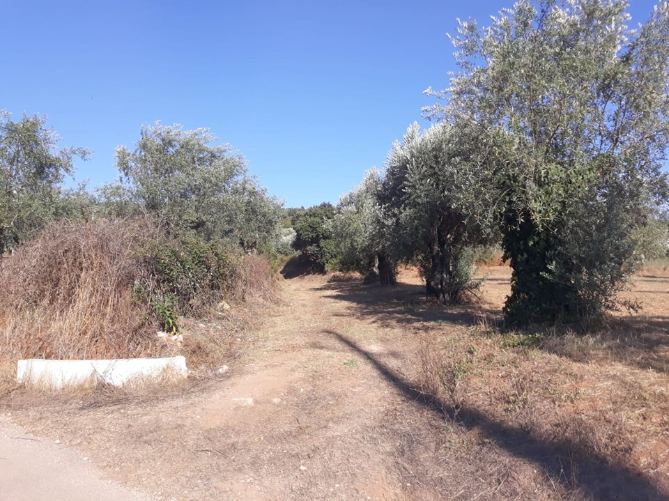 cnclass pelourinho 4