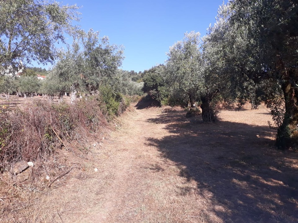 cnclass pelourinho 8