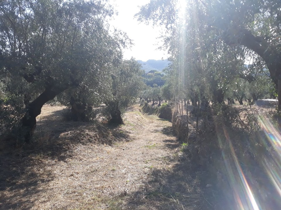 cnclass pelourinho 9