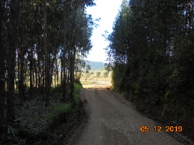 rrobária 11