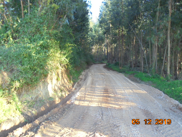 rrobária 12