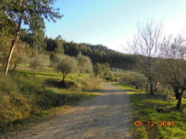 rrobária 13