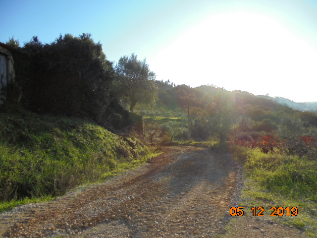 rrobária 15