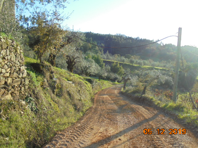 rrobária 16