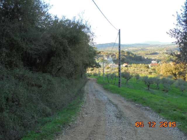 rrobária 19