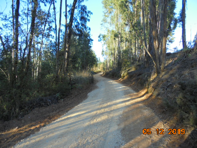 rrobária 6