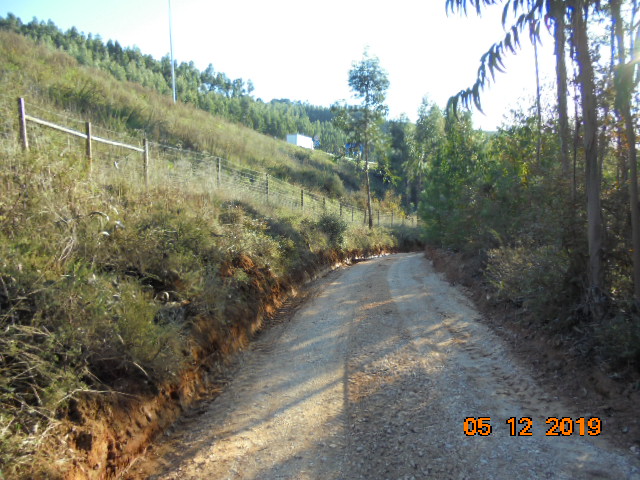 rrobária 7