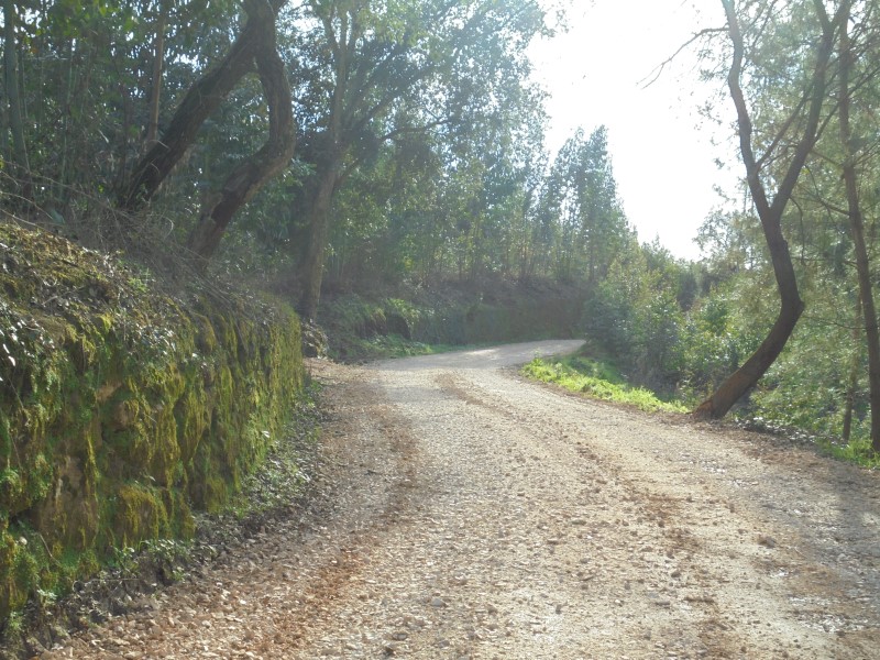balouco 3