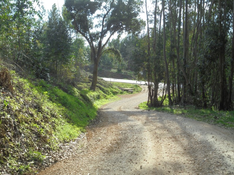 balouco 5