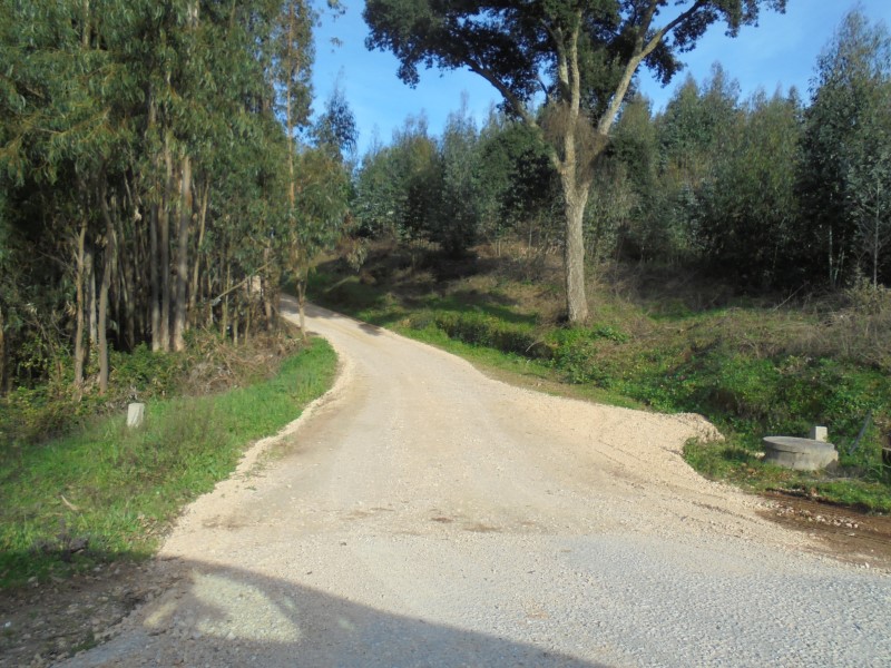 balouco 6