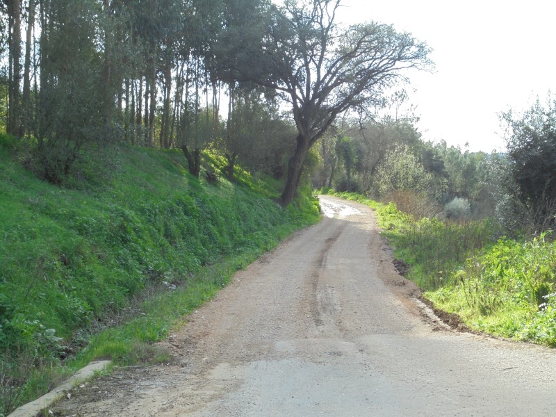 balouco 7