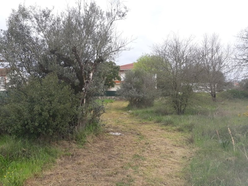 carreiros 15